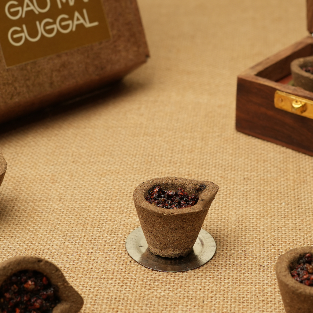 Gau Mai Guggal Havan Cup 24pcs